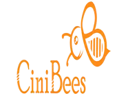 Cinibees Studios Private Limited