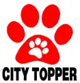 City Topper Print Private Limited