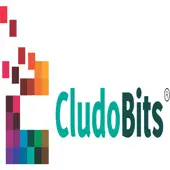 Cludobits It Solutions Private Limited