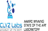 Clyz Labs (India) Private Limited