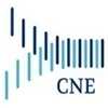 Cne Solutions Private Limited