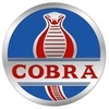 Cobra Softwares Private Limited