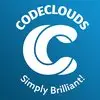 Codeclouds It Solutions Private Limited