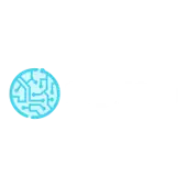 Cognicue Analytics Private Limited