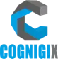 Cognigix Digital Learning Private Limited