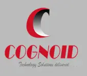 Cognoid Solution Private Limited