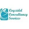 Cogzidel Consultancy Services Private Limited