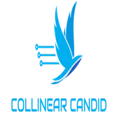 Collinear Candid Private Limited