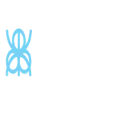 Concentric Consulting India Private Limited