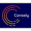 Consely Engineering Services Private Limited