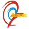 Cosmic It Services Private Limited