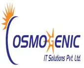Cosmogenic It Solutions Private Limited