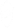 Crest Business Solutions Private Limited