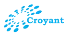 Croyant Software Technologies Private Limited