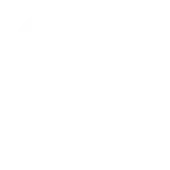 Cummins Technologies India Private Limited