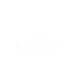 Cyblinx Technologies Llp