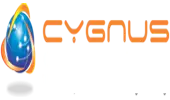 Cygnus Convergence Private Limited