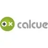 Calcue Info Services Private Limited