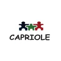 Capriole Systemazation Llp