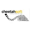 Cheetahsoft Technologies Private Limited