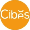 Cibes Lift India Private Limited