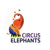 Circus Elephants Content Marketing Solutions Private Limited