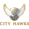 City Hawks Manpower Services And Consultancy Private Limited