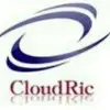 Cloudric Technologies Private Limited