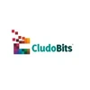 Cludobits Global Private Limited