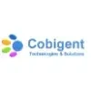 Cobigent Technologies And Solutions Private Limited