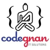 Codegnan It Solutions Private Limited