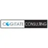 Cogitate Consulting Private Limited