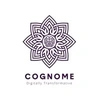 Cognome (India) Private Limited