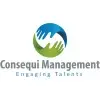 Consequi Management Consultants Private Limited