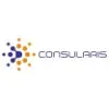 Consularis Technology Solutions Private Limited