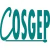 Cosgep India Private Limited