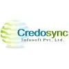 Credosync Infosoft Private Limited