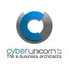 Cyber Unicorn Private Limited