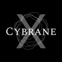 Cybranex Technologies And Consultancy Private Limited