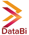 Databi Solutions Private Limited