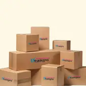 Deangro Packaging Private Limited