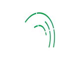 Design Dialogues Securities (India) Private Limited