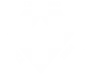 Diamond Drugs Private Limited