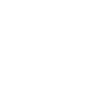 Dicedots Private Limited