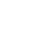 Digidors Technologies Private Limited