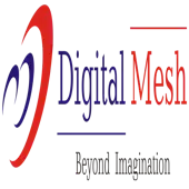 Digital Mesh Softech India Private Limited