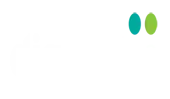 Digitfellas It Solutions Llp