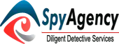 Diligent Spy Agency Services Private Limited