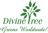 Divine Tree Limited