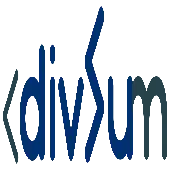 Divsum Tech Private Limited